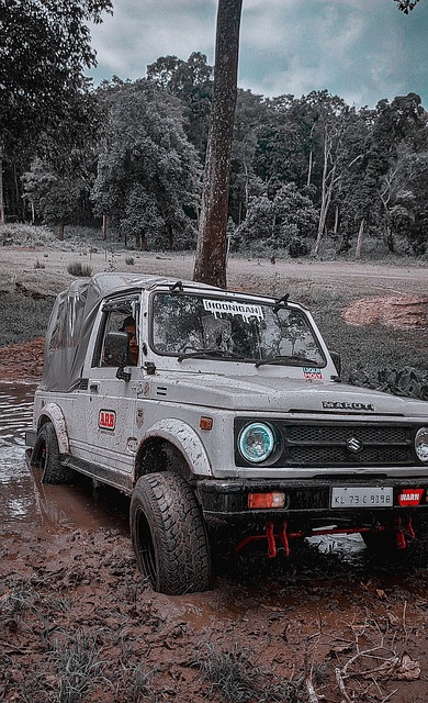 层此时或许 层此时或许