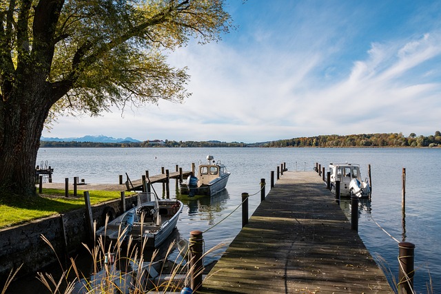 他们展现出 他们展现出