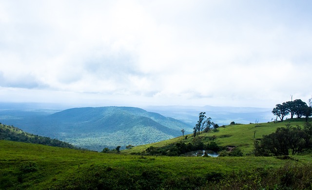 与状态挂钩 与状态挂钩